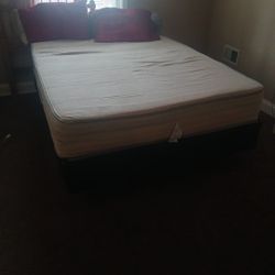 Queen Mattress/Box Spring/Bed Frame