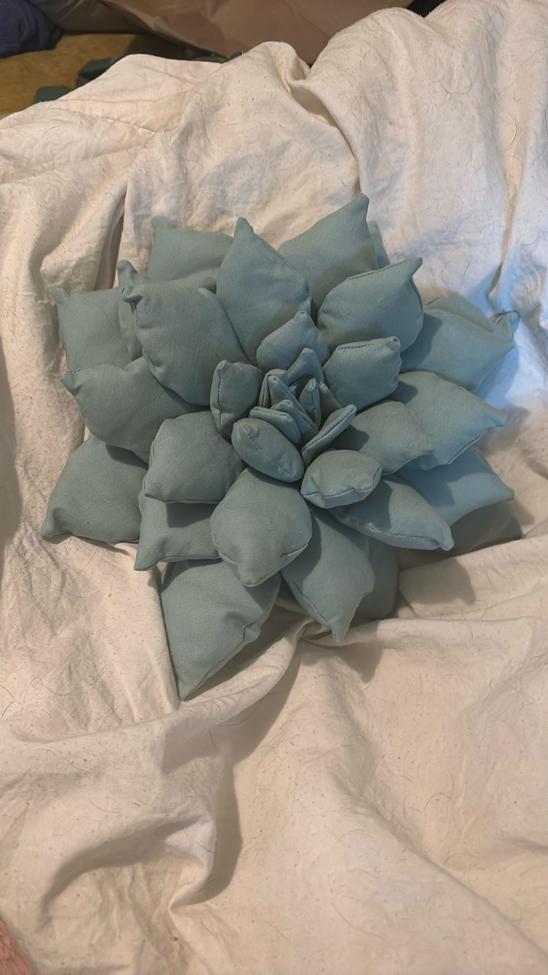 Handmade Decorative Succulent Pillow
