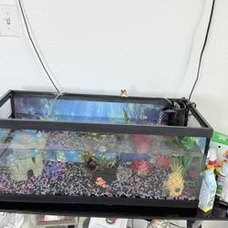 Fish tank in excellent condition, ready to use!