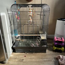 Bird Cage With Seed Catcher