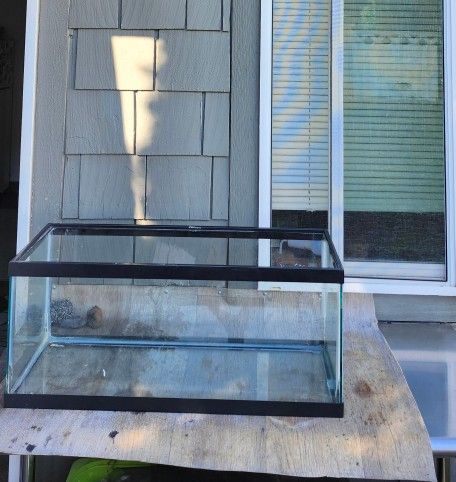 20 gallon aquarium