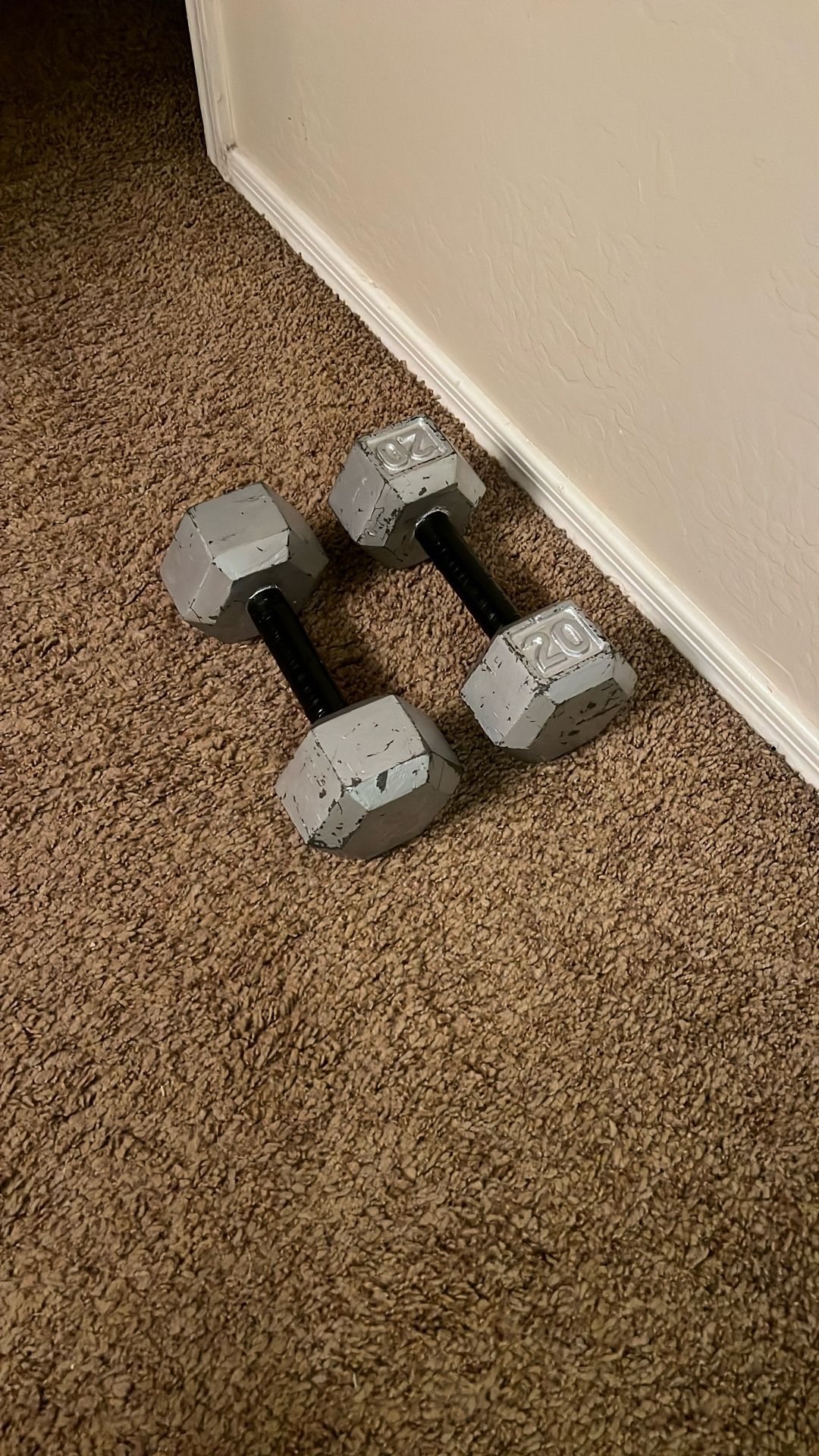 Two 20lbs Weights