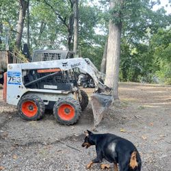 2004 763 G Series Bobcat Skid-steer