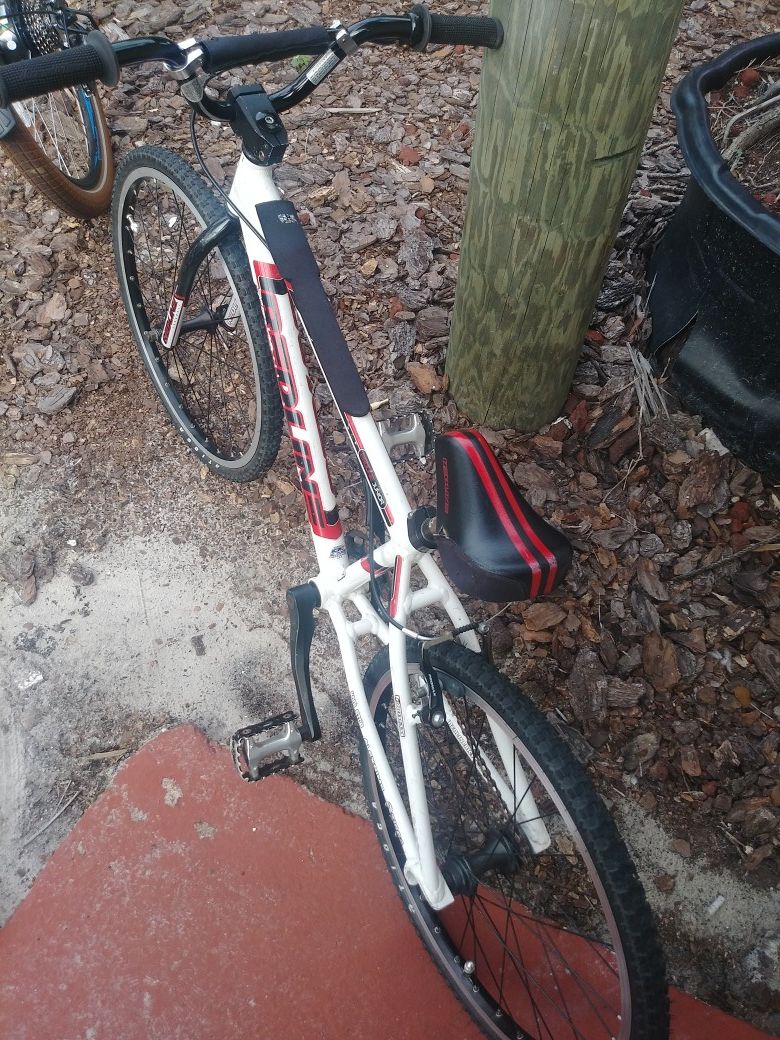 20 inch Red line mini with skinnys