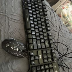 Mouse and keyboard