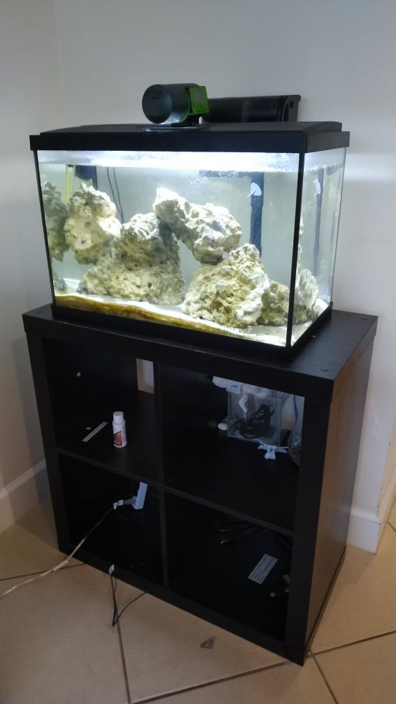 Aquarium with mobile rocks, filter and automatic feeder