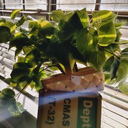 Random Greenery Bushels From Hobby Lobby