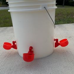 Chicken Waterer