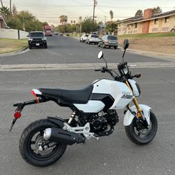 2025 Honda Grom 