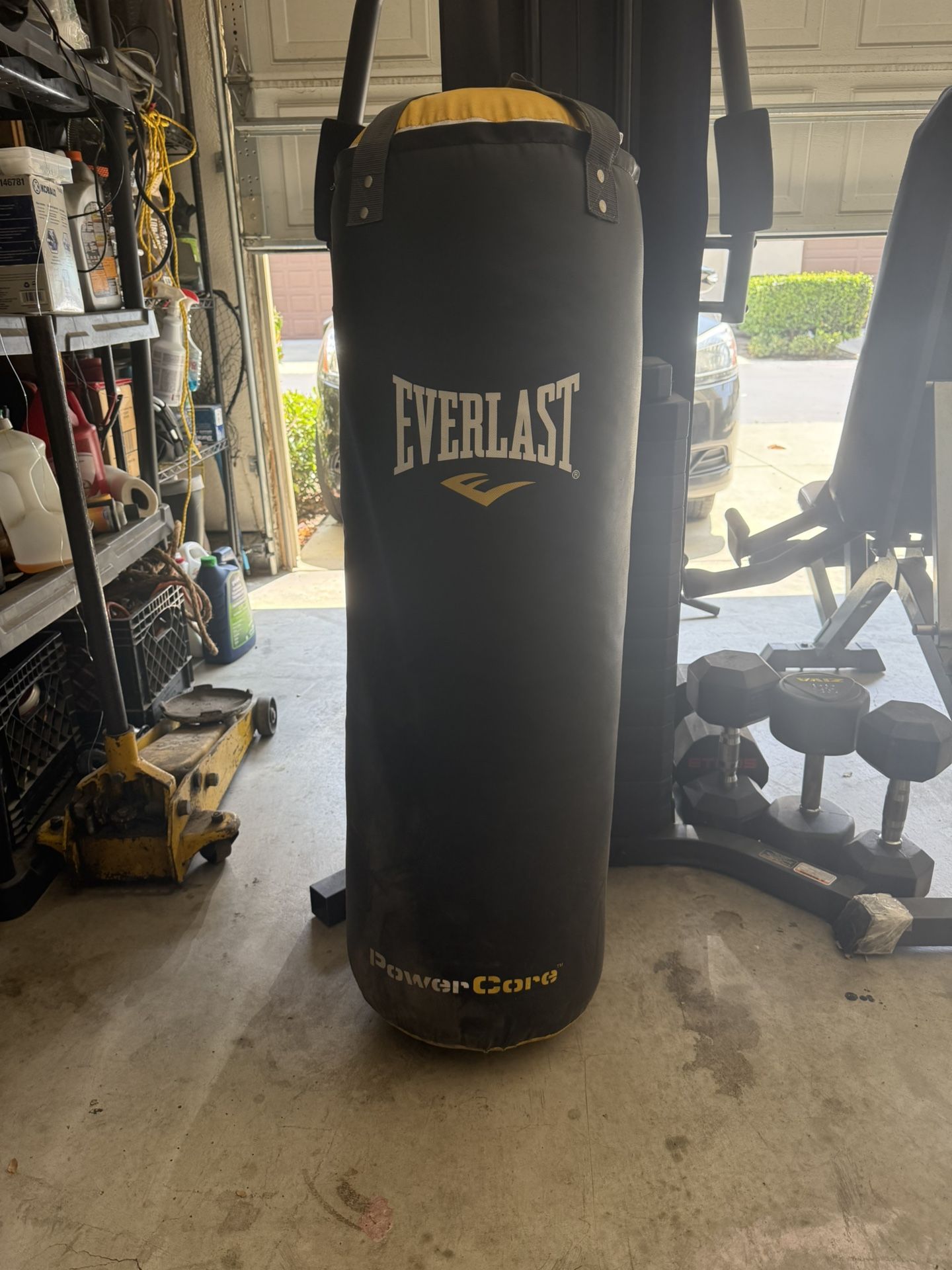 Everlast Power core heavy bag