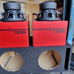 DS 18 10 INCH SUBS