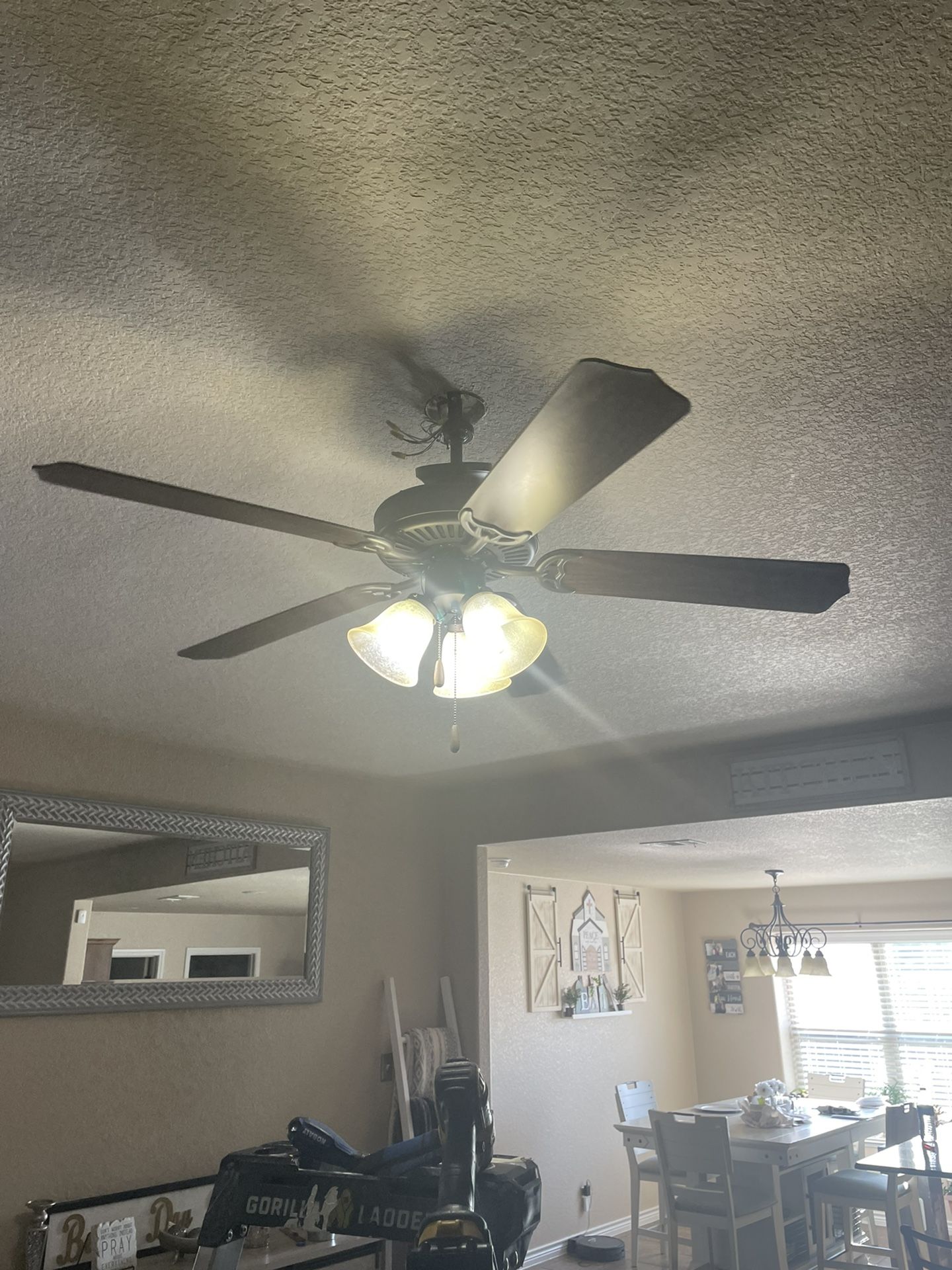 Cieling Fan