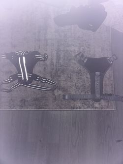 Dog Harness