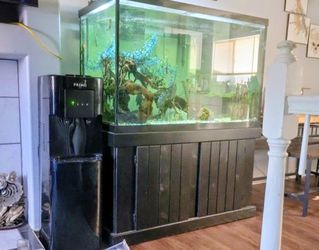 150 Gallon Tank With Storage