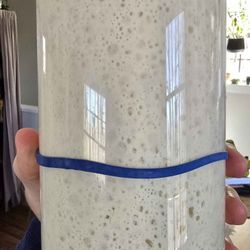 225+ YEAR OLD SOURDOUGH STARTER 