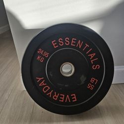 1 dumbbell plate 55lb
