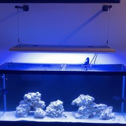 Giesemann Matrixx II T5 Lighting