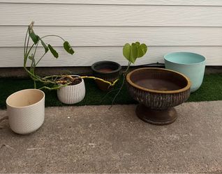Plant pots