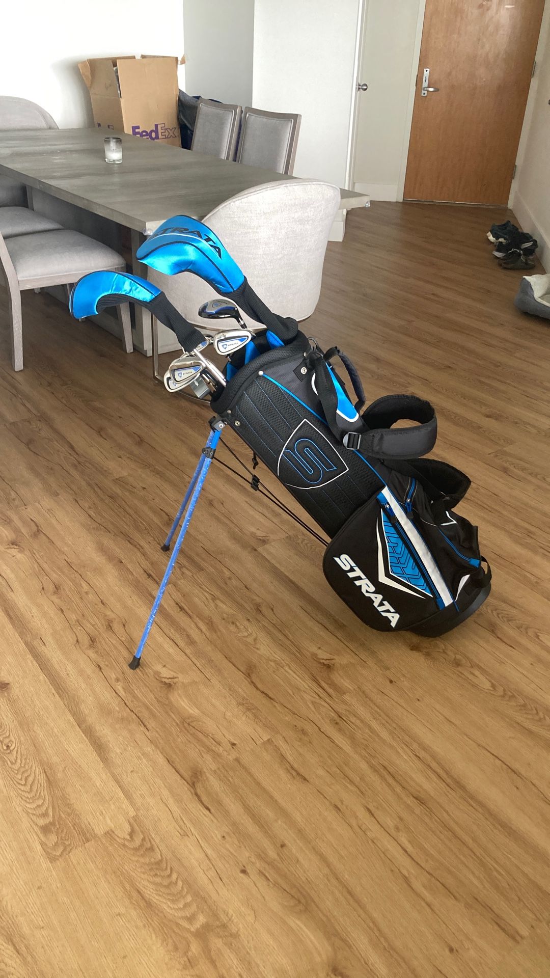 Golf Clubs And Bag