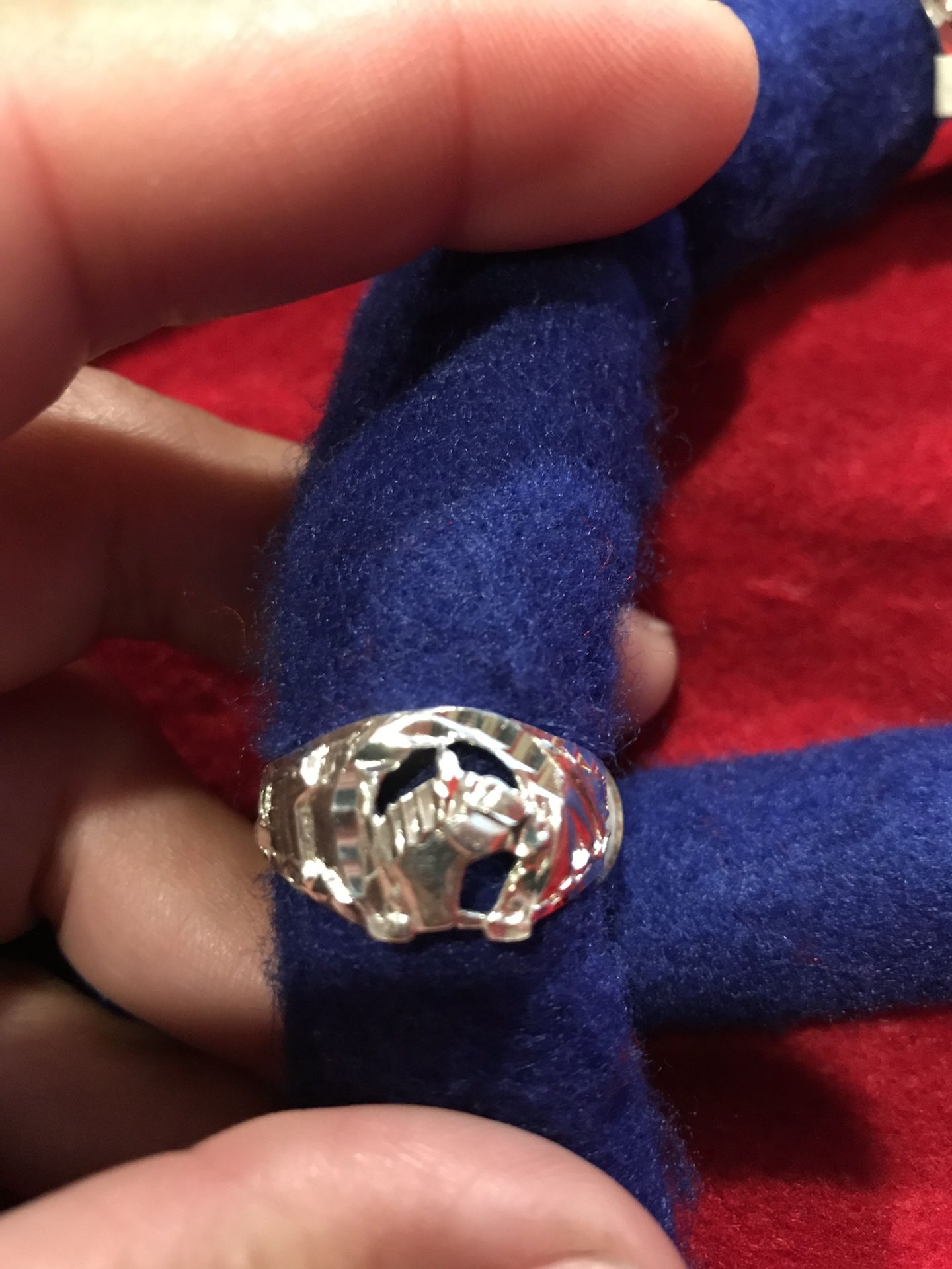 Horseshoe and horse🐴 ring size 10