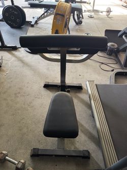 Preacher curl