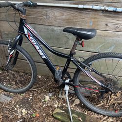 Giant “” Medium Size Bike 