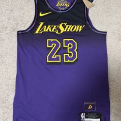 LA Lakers Nike NBA Authentic City LakeShow LeBron Jersey Men Sz.44+2 FQ4469-504