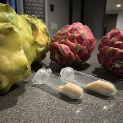 Dragon Fruit Pollen 1 .25 ML (cross Pollinate Your DF Flowers)