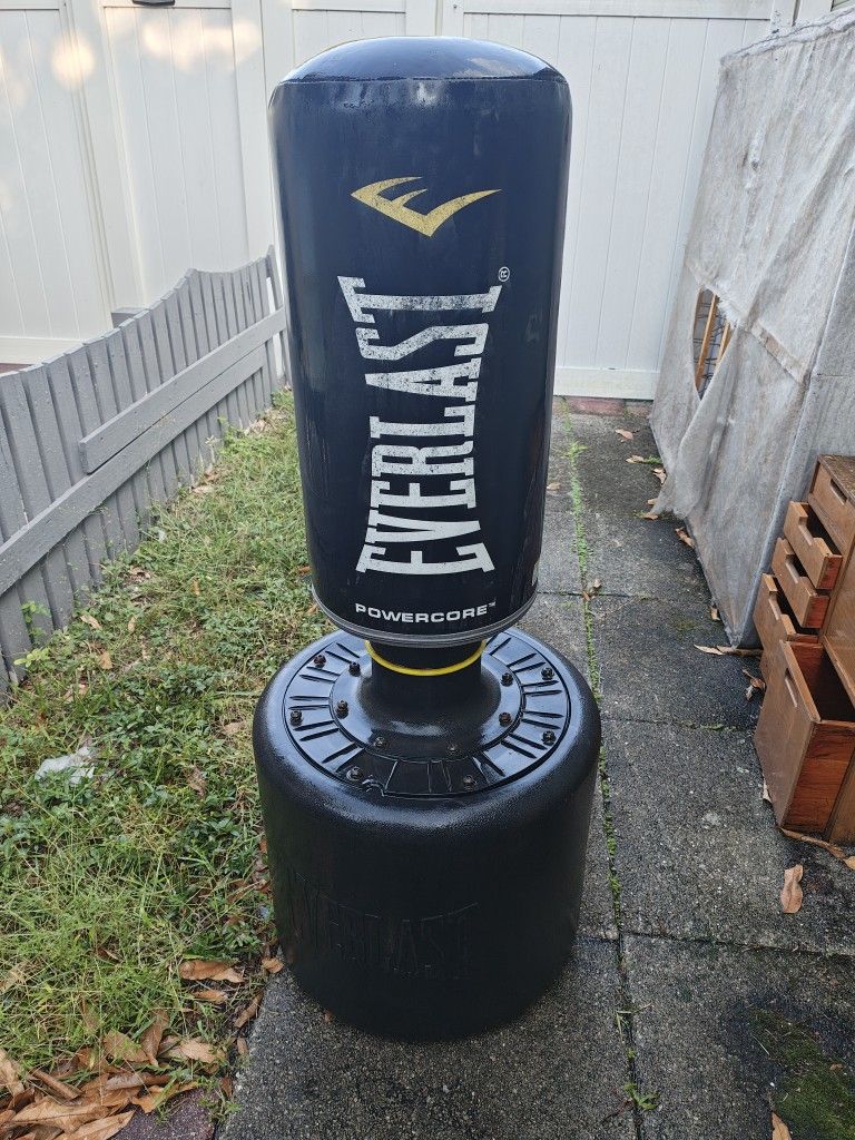 Fitness Training Bag