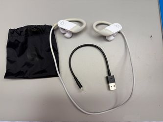 Beats Powerbeats Pro Wireless Earphones – Ivory