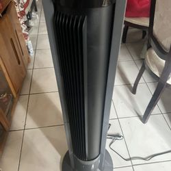 Tall Fan