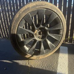 Tesla Rims And Tires