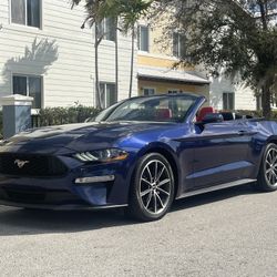 2019 Ford Mustang