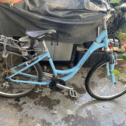 Specialized Expedition Sport Low Entry Bike – Gloss LT Blue/Charcoal/White