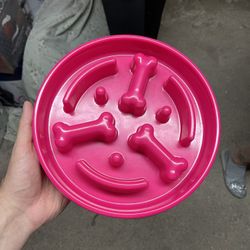 Dog Bowl