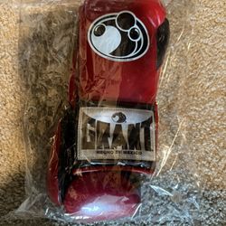 10 Oz Professional Boxing Gloves
