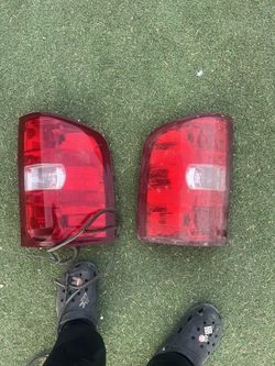 Back Lights