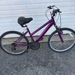 24” Purple 10 Speed Bike