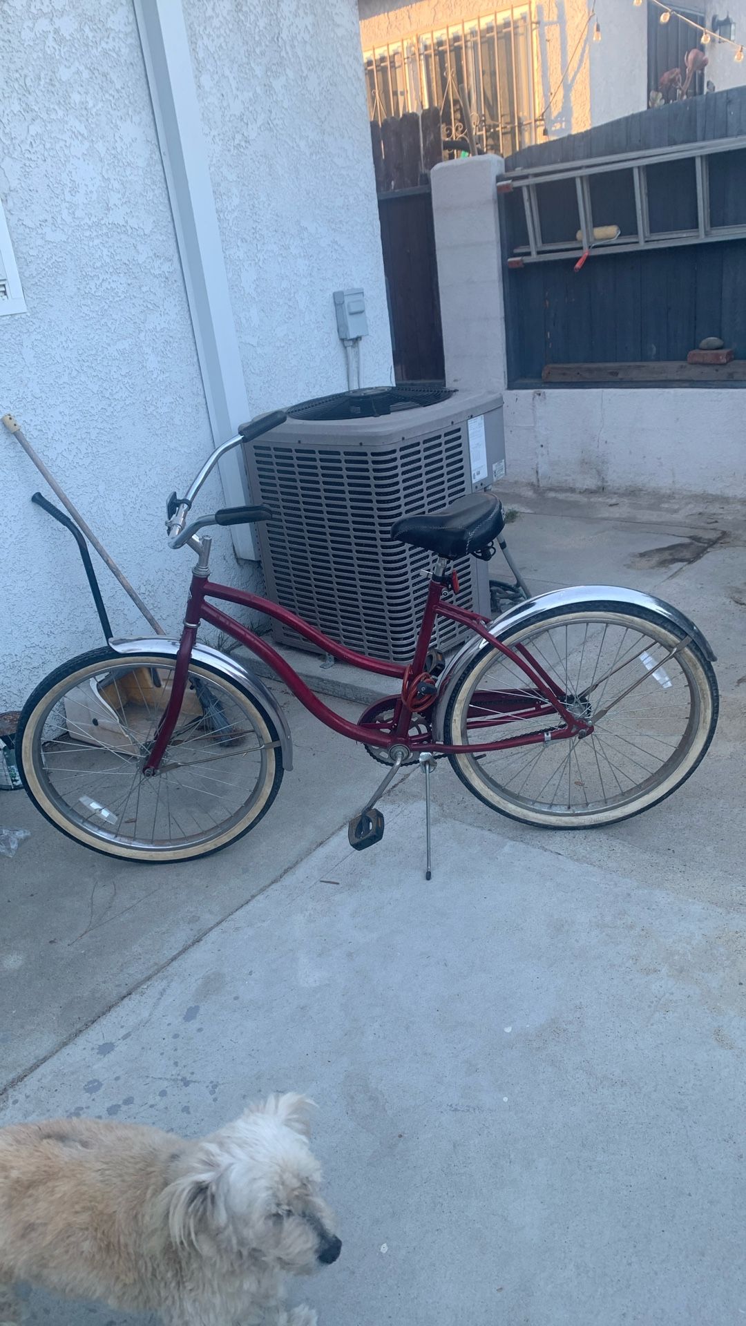 Bike