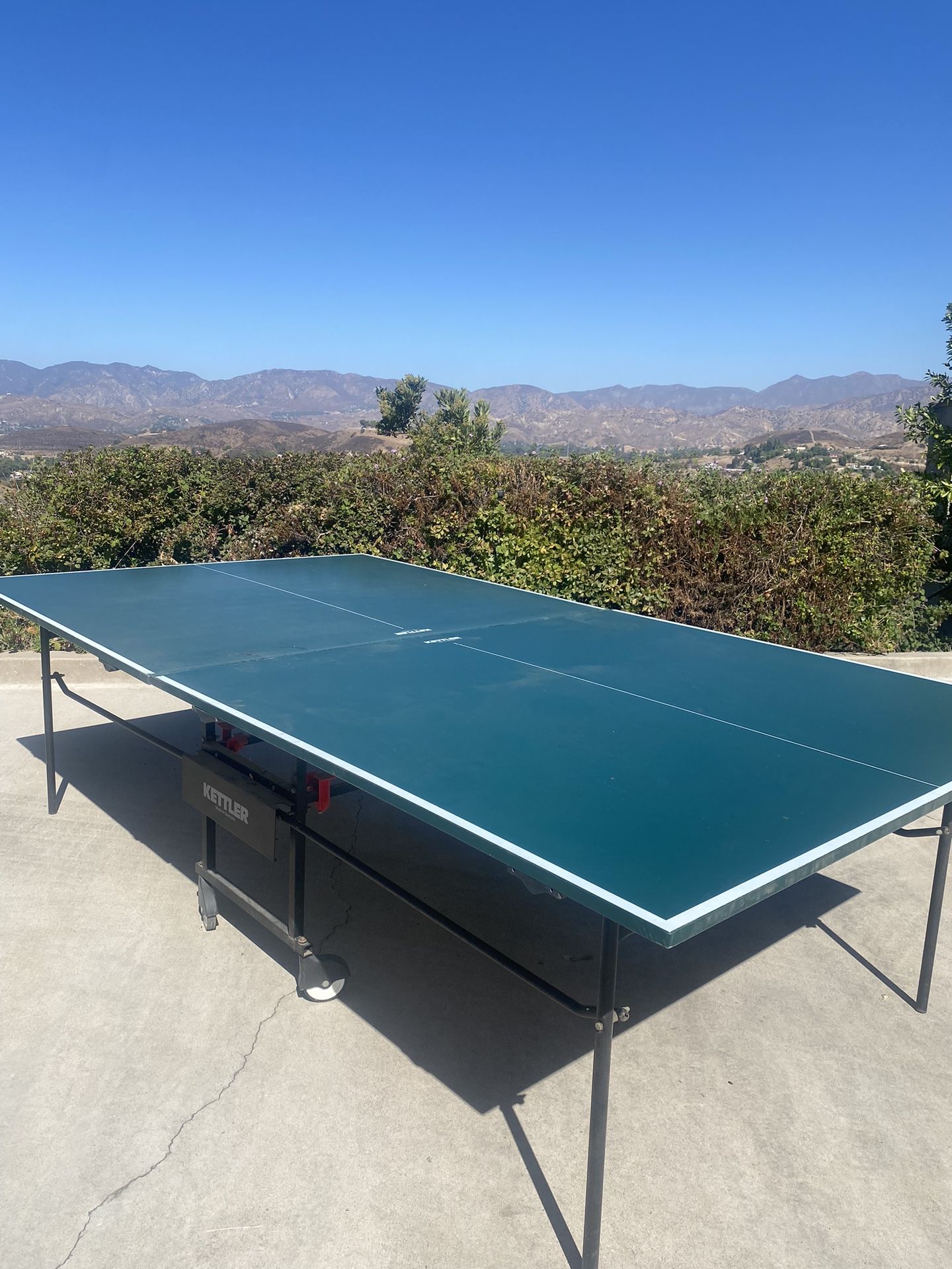 Ping pong table