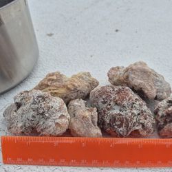 Piñon Pine Resin For Making Salves, Soaps, Incense. ECT