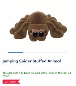 Build a Bear Jumping Spider