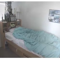 Raised Twin Bed With Under Bed 4 Drawer Storage.