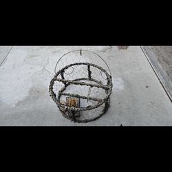 Crab Trap
