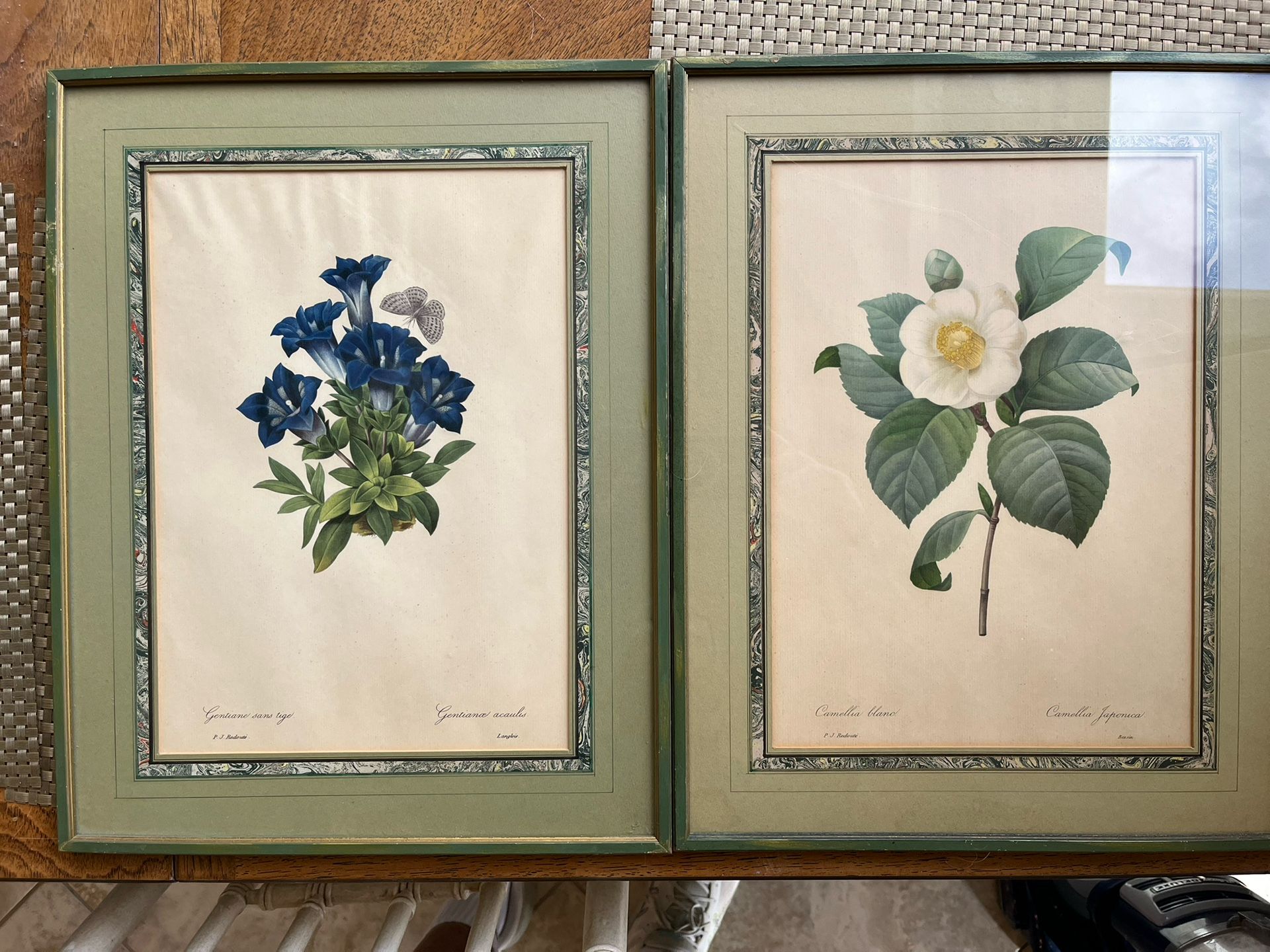 A Pair Of P.J. Redoute French Lithographs