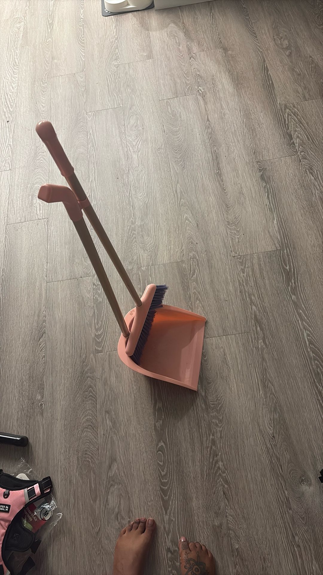 Broom & Dustpan
