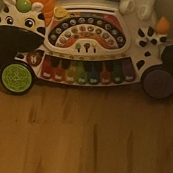 Magic Zebra Plays Music 
