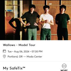 The Wallows - (2 Tickets) - Aug. 6 - Sec 303