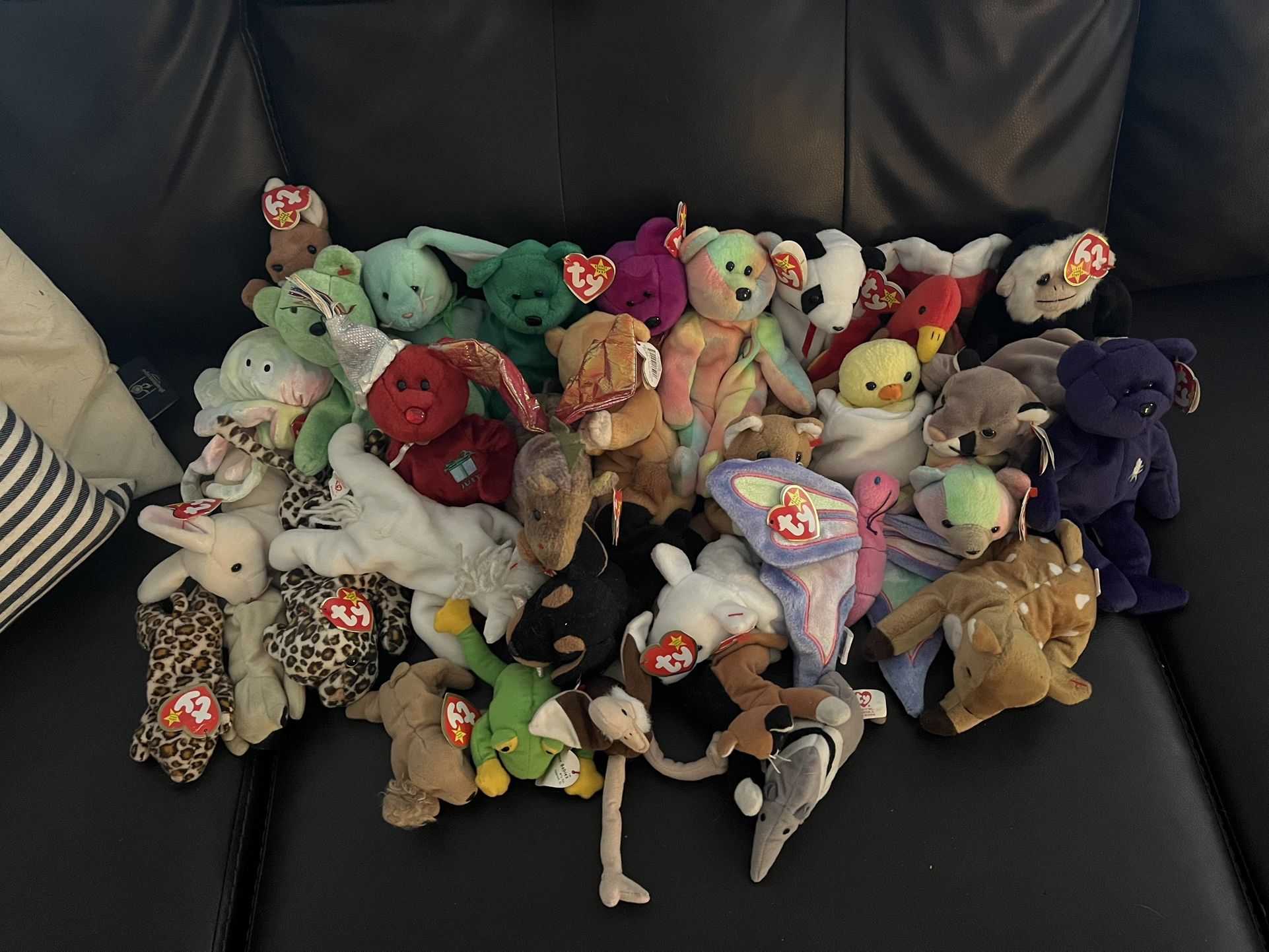 Beanie Baby Lot