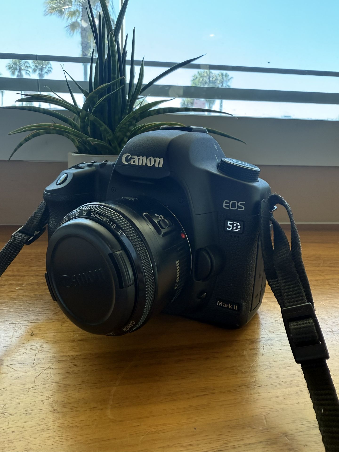 Canon 5D mark II